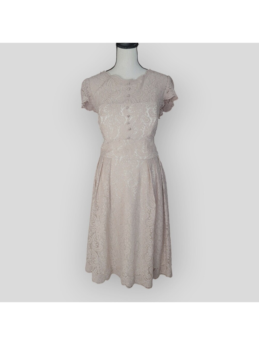 Watters & Watters Vintage Lace Dress Size 12 Blush Mauve Midi Romantic Cocktail